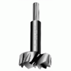 Forstner Bits
