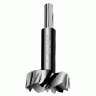 Forstner Bits