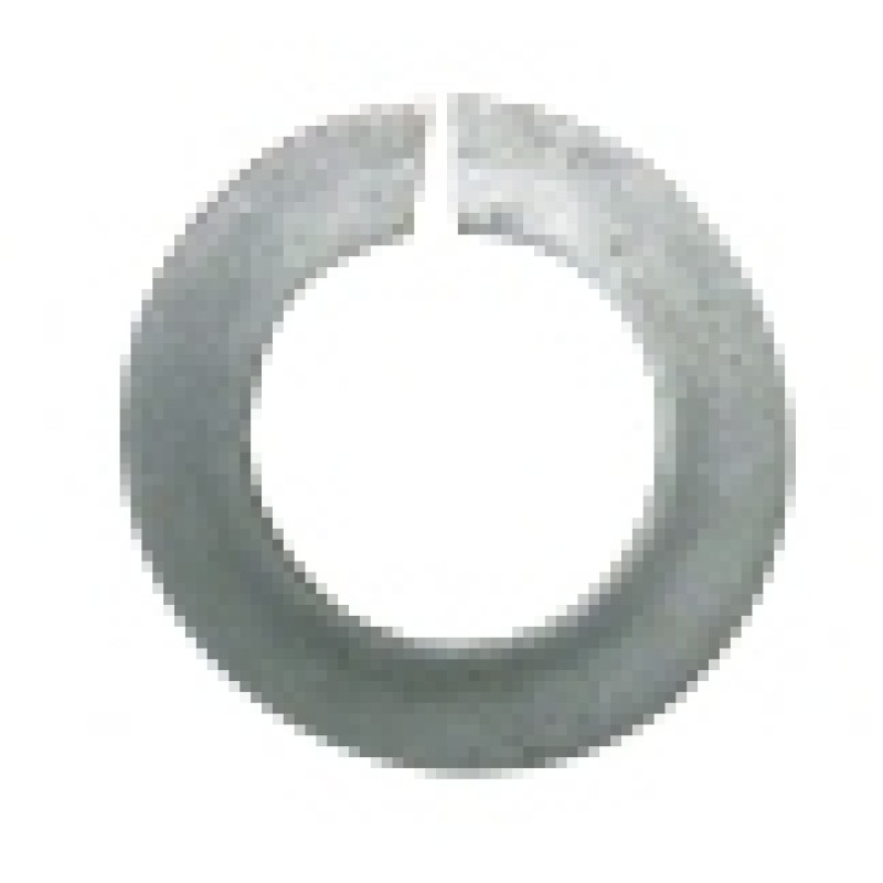 1950090 1/4" Spring Washer
