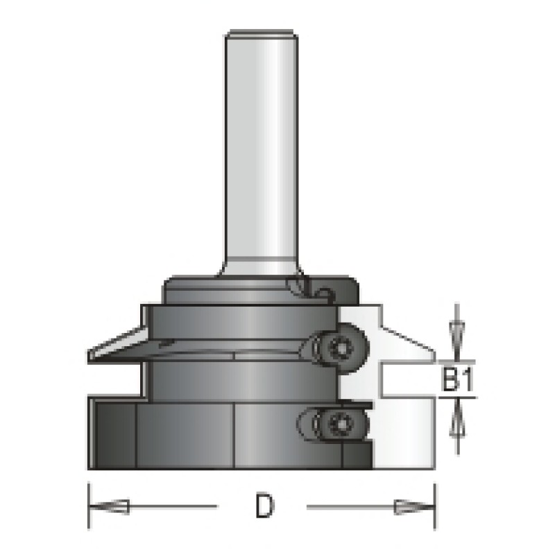 42R8-6AT Tongue Bit Only - Set A 2 Flute 30mm & 1/4" Cutting Height 1/2" Shank