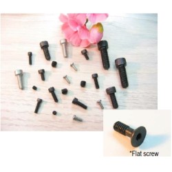 Cap Screw 3x6mm
