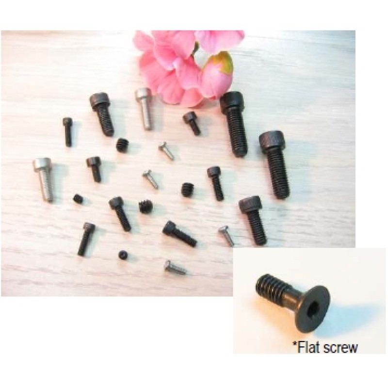Cap Screw 3x6mm