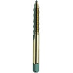 Black & Gold Taps
