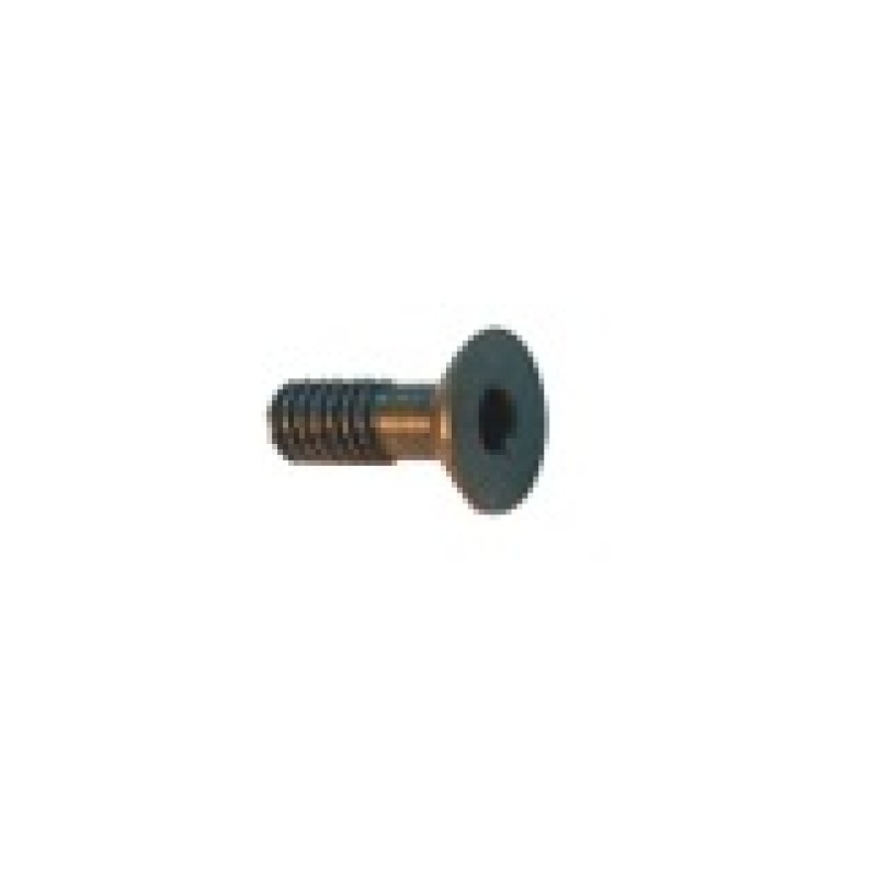 1930220 NF10 Headless Screw 3/16" Diameter 3/16" Length