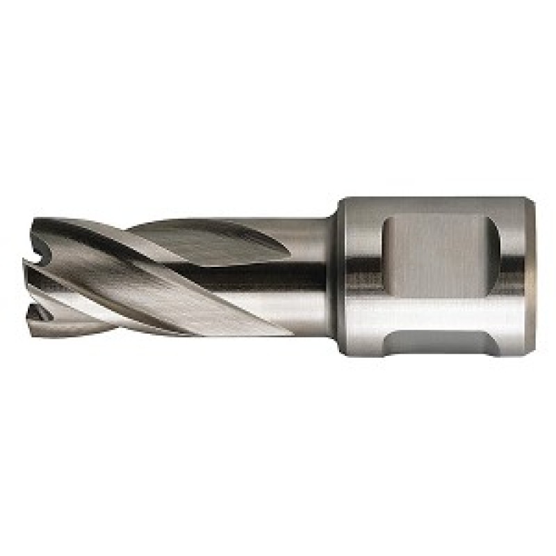 63134254002 Slugger Cutter 1" Diameter x 2" Depth SL100