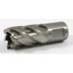63134174001 Slugger Cutter 11/16" Diameter x 1" Depth Weldon Shank 3/4 S6875