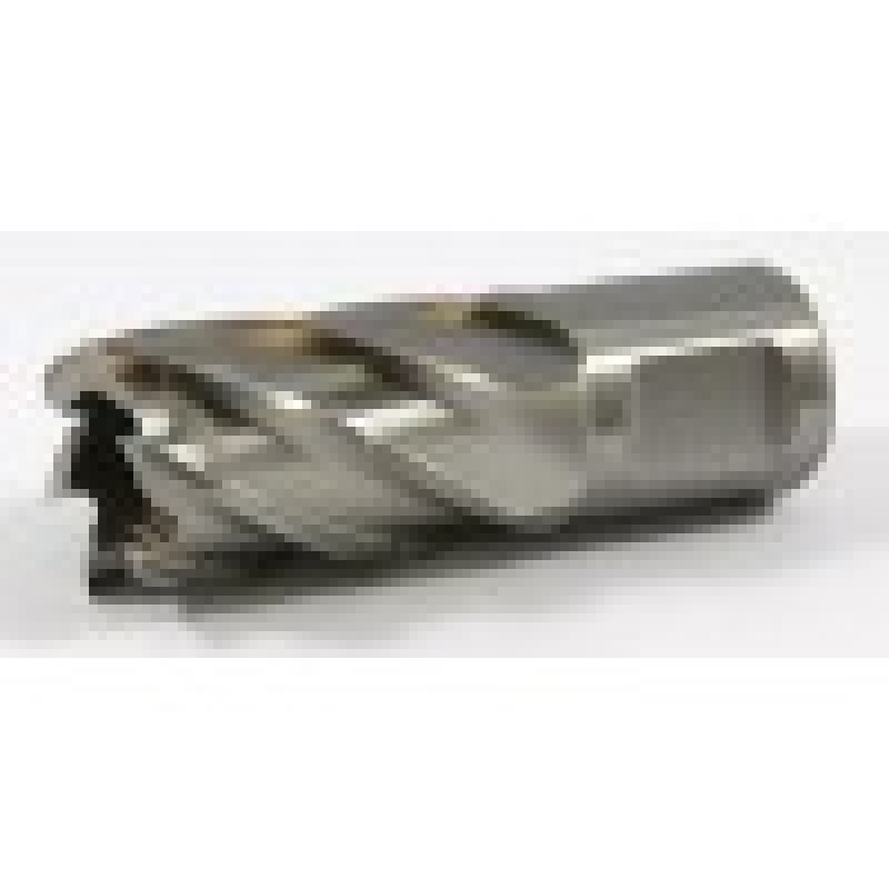 63134219003 Slugger Cutter , 22mm Diameter x 3" Depth HSS Weldon Shank
