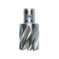 63134169002 Slugger Cutter 17mm Diameter x 2" Depth  3/4" Shank SL669