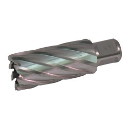 63134106002 Slugger Cutter 27/64" Diameter x 2" Depth SL421