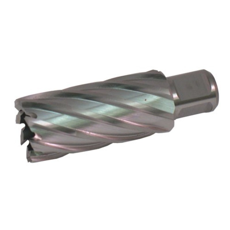 63134106002 Slugger Cutter 27/64" Diameter x 2" Depth SL421