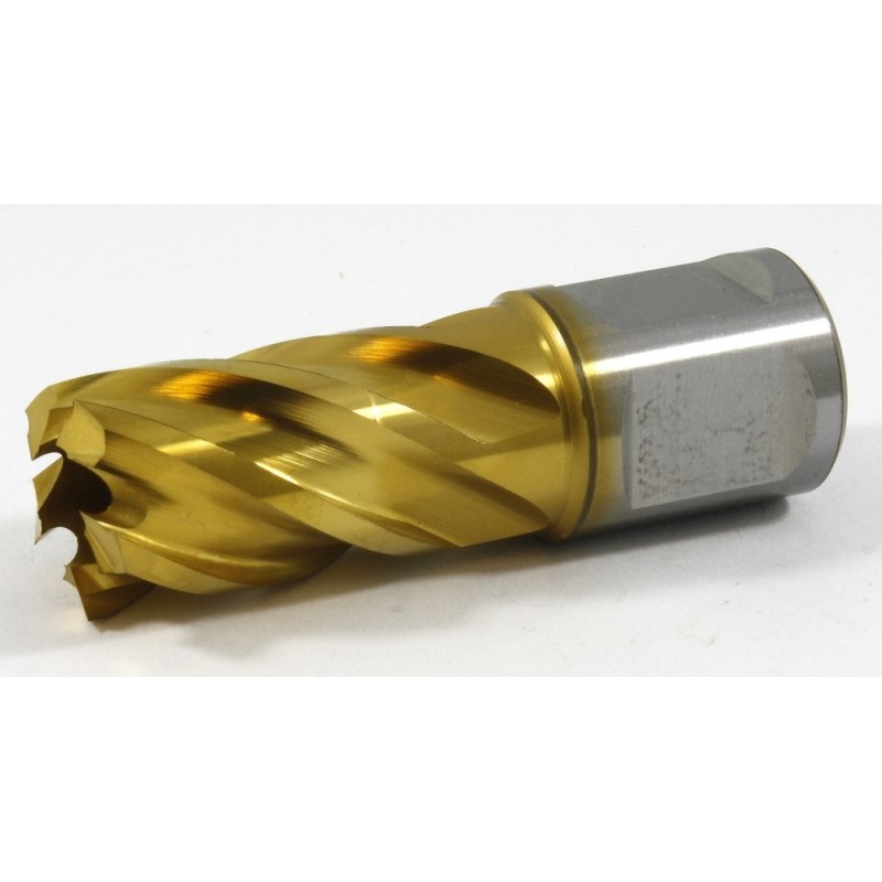 63134174119 Slugger Cutter TiN ID Sharpened 11/16" Diameter x 1" Depth S6875IDTN