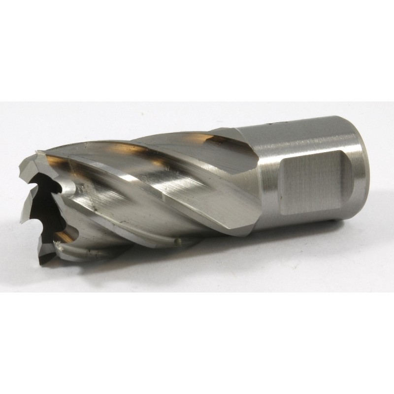 63134206001 Slugger Cutter 13/16" Diameter x 1" Depth Weldon Shank 3/4  S8125