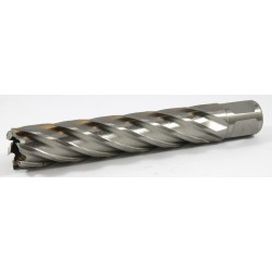 63134206004 Slugger Cutter 13/16" Diameter x 4" Depth 812SL