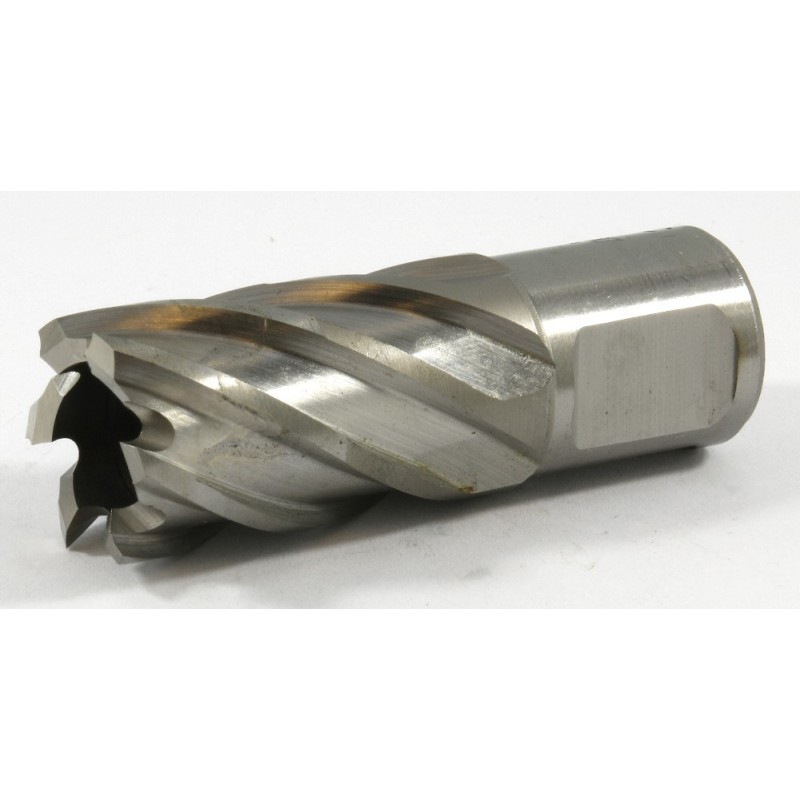63134206007 Slugger Cutter Cobalt 13/16" Diameter x 1" Depth S8125C