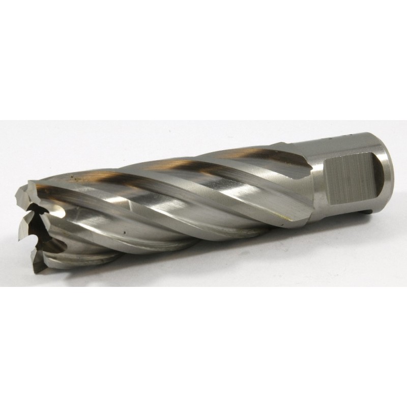 63134206008 Slugger Cutter Cobalt 13/16" Diameter x 2" Depth SL812C