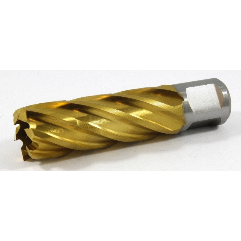 63134206118 Slugger Cutter TiN ID Sharpened 13/16" Diameter x 2" Depth SL812IDTN