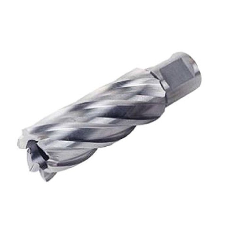 63134635013 Slugger Cutter 2-1/2" Diameter x 1" Depth 1-1/4" Shank