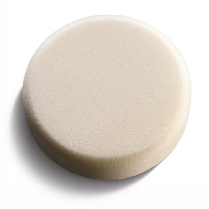 Polishing sponge