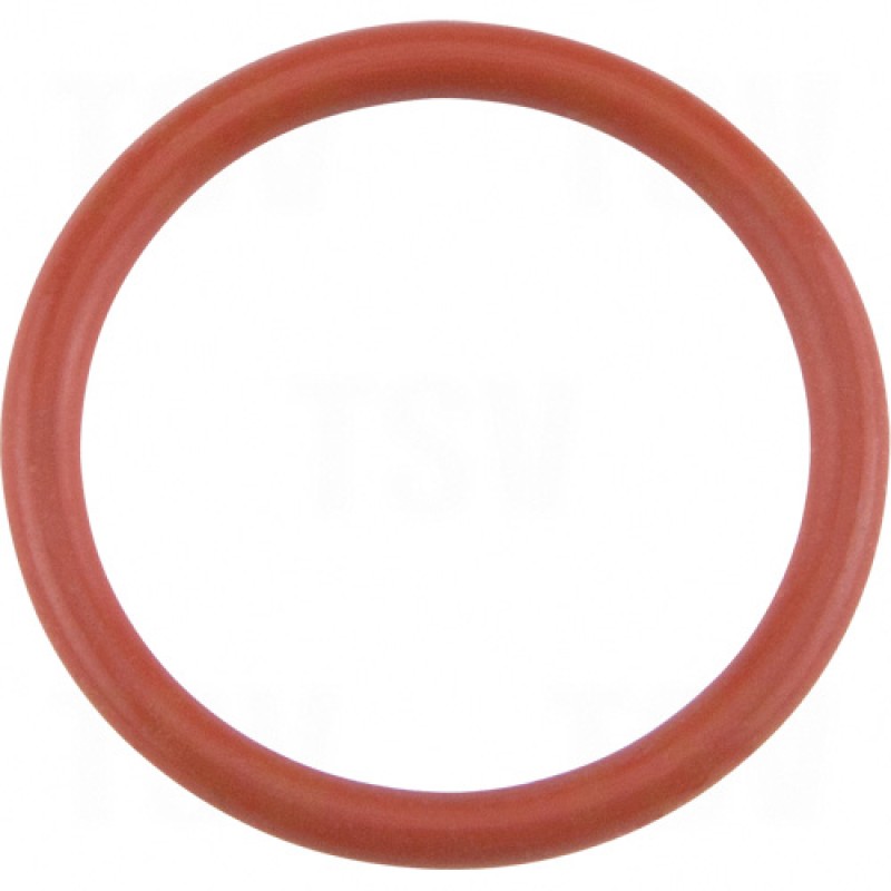 Bernard Style O-Ring