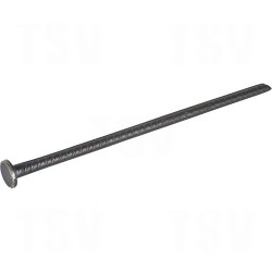 Rebar Spike         